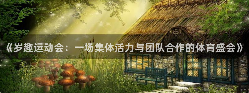 米兰体育官方正版app集团简介：《岁趣运动会：一场集