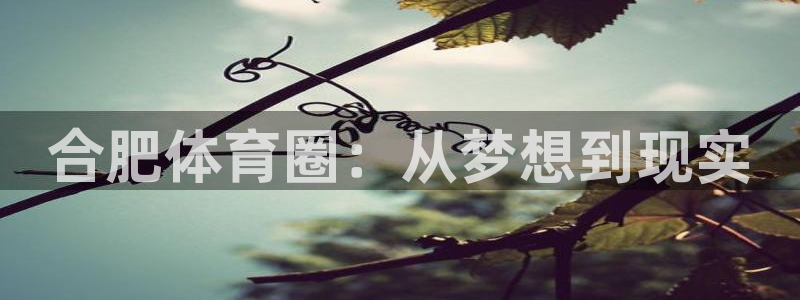 米兰体育官方正版app新能源：合肥体育圈：从梦想到现