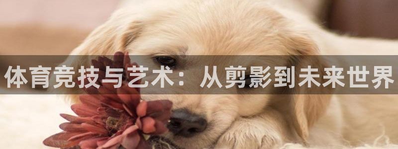 米兰体育官网下载招商电话是多少：体育竞技与艺术：从剪