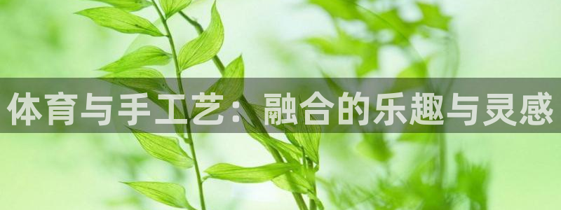 米兰体育官方正版app娱乐是那个系列的台子：体育与手