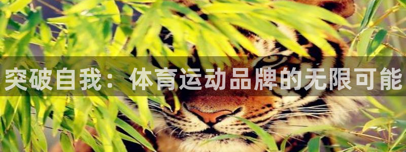 米兰体育官方正版app新能源：突破自我：体育运动品牌