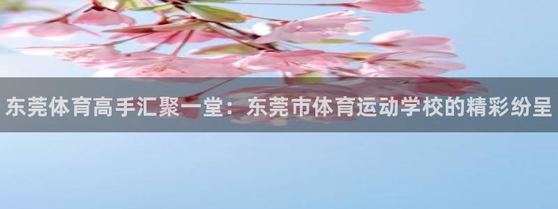米兰体育官网下载平台注册流程图：东莞体育高手汇聚一堂
