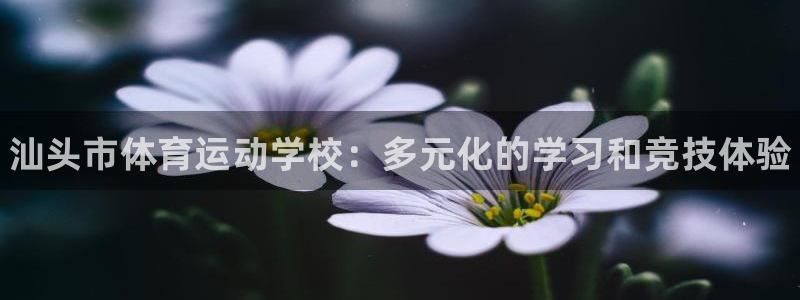 米兰体育官网下载招商电话地址：汕头市体育运动学校：多