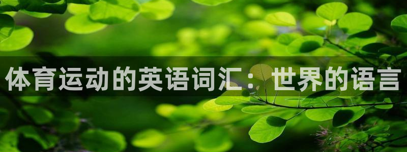 米兰体育官网下载招商电话号码：体育运动的英语词汇：世