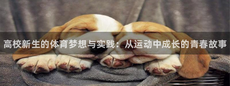 米兰体育官网下载招商电话地址：高校新生的体育梦想与实