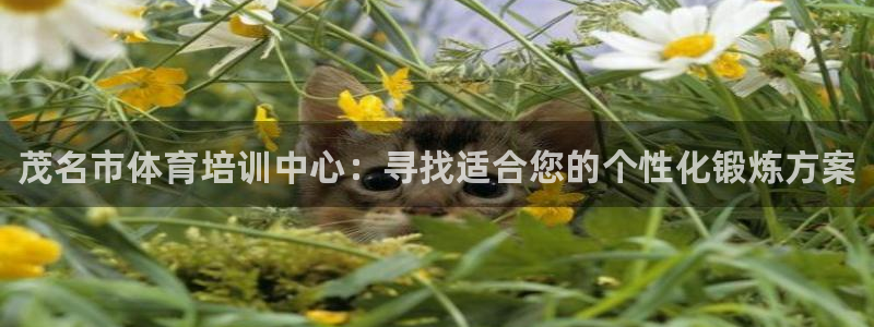 米兰体育官方正版app集团简介：茂名市体育培训中心：