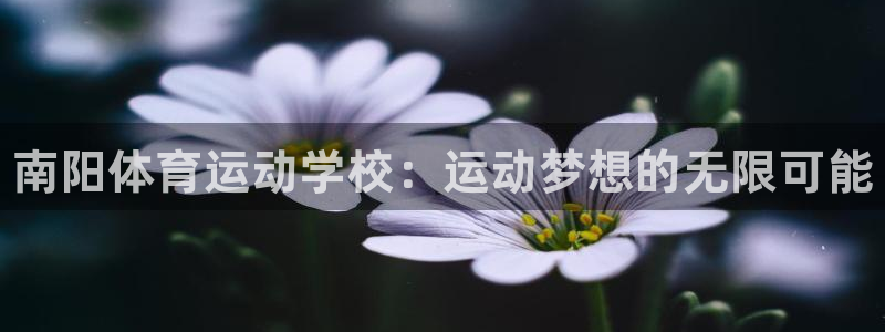 米兰体育官网下载招商电话：南阳体育运动学校：运动梦想
