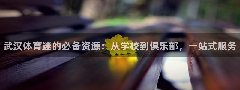 米兰体育官网下载招商电话号码是多少号：武汉体育迷的必