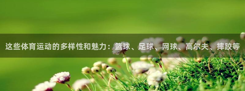 米兰体育官网下载平台注册要钱吗是真的吗：这些体育运动