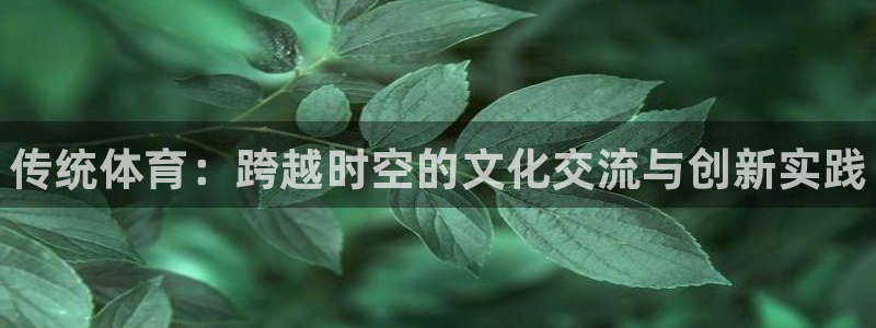 米兰体育官网下载招商电话号码查询：传统体育：跨越时空的文化交