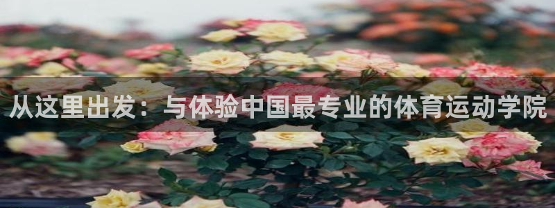 米兰体育官网下载平台假的吗是真的吗