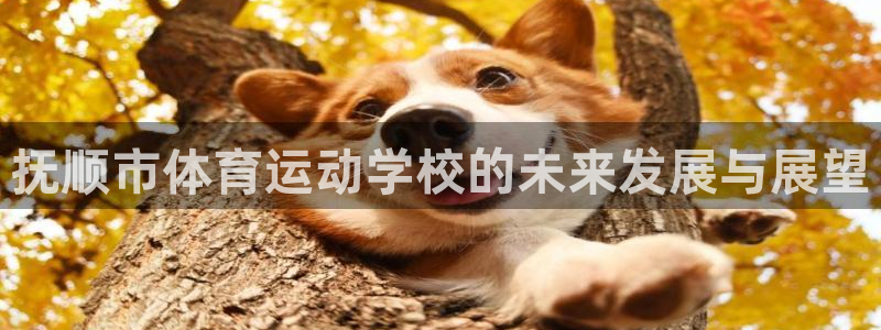 米兰体育官方正版app娱乐首页网站大全：抚顺市体育运动学校的