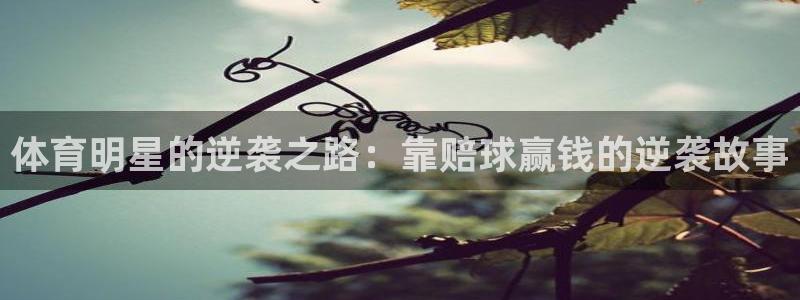 德国米兰体育官方正版app集团：体育明星的逆袭之路：