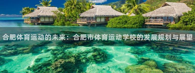 米兰体育官方正版app集团官网网址：合肥体育运动的未来：合肥