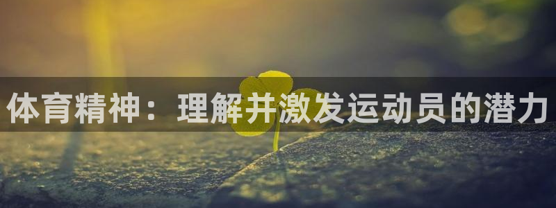米兰体育官方正版app集团官网网址：体育精神：理解并