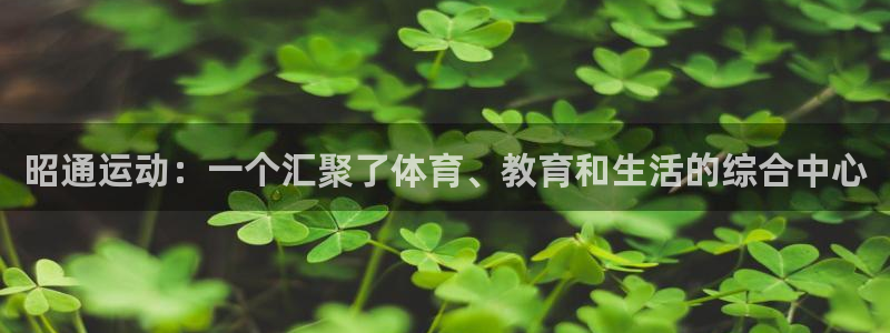 米兰体育官方正版app新能源：昭通运动：一个汇聚了体