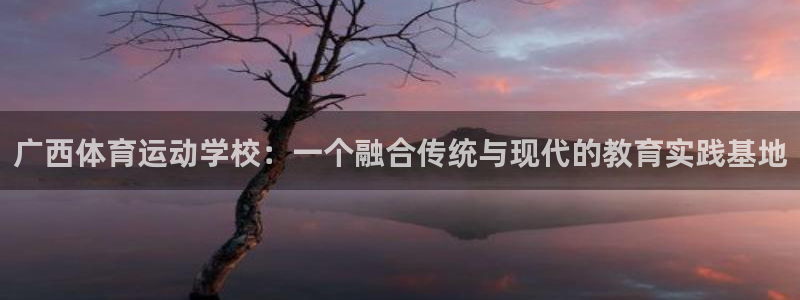 米兰体育官方正版app娱乐是那个系列的台子：广西体育运动学校