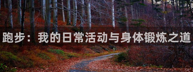 米兰体育官方正版app娱乐首页官网下载：跑步：我的日常活动与