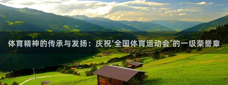 米兰体育官方正版app新能源：体育精神的传承与发扬：庆祝‘全