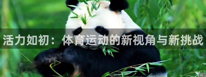 米兰体育官方正版app娱乐：活力如初：体育运动的新视角与新挑