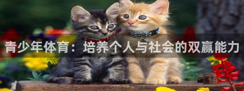 米兰体育官网下载平台注册要钱吗安全吗：青少年体育：培养个人与