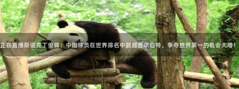 玩球直播网站：正在直播斯诺克丁俊晖：中国球员在世界排名中超越吉尔伯特，争夺世界第一的机会大增！