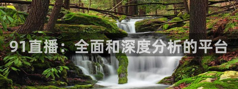 玩球直播app下载：91直播：全面和深度分析的平台