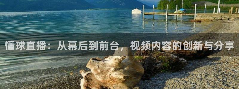 玩球直播app官网：懂球直播：从幕后到前台，视频内容的创新与分享