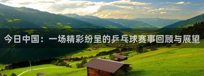 玩球直播在线观看：今日中国：一场精彩纷呈的乒乓球赛事回顾与展望