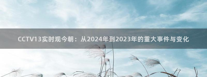 玩球直播观看：CCTV13实时观今朝：从2024年到2023年的重大事件与变化