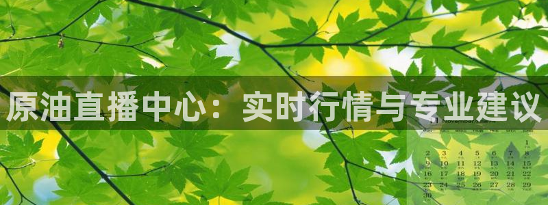 玩球直播