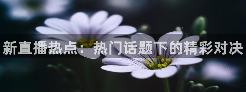 玩球直播安卓下载：新直播热点：热门话题下的精彩对决