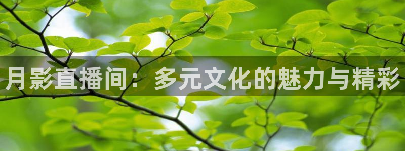 下载玩球直播：月影直播间：多元文化的魅力与精彩